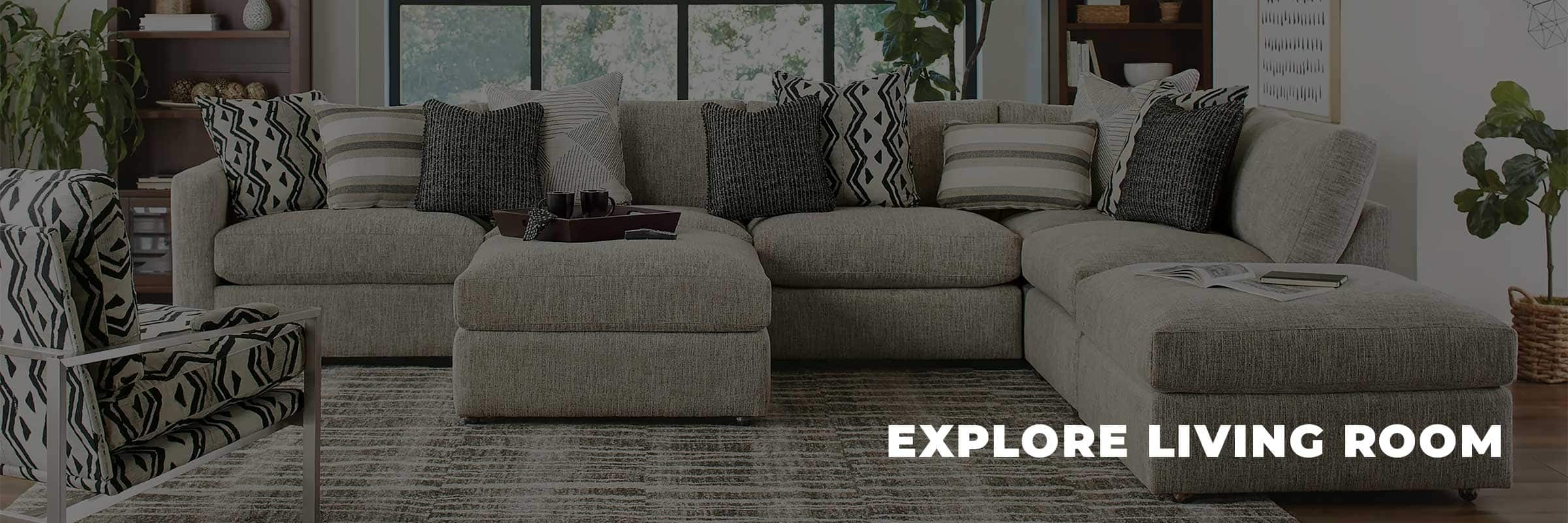 Shop Living Room