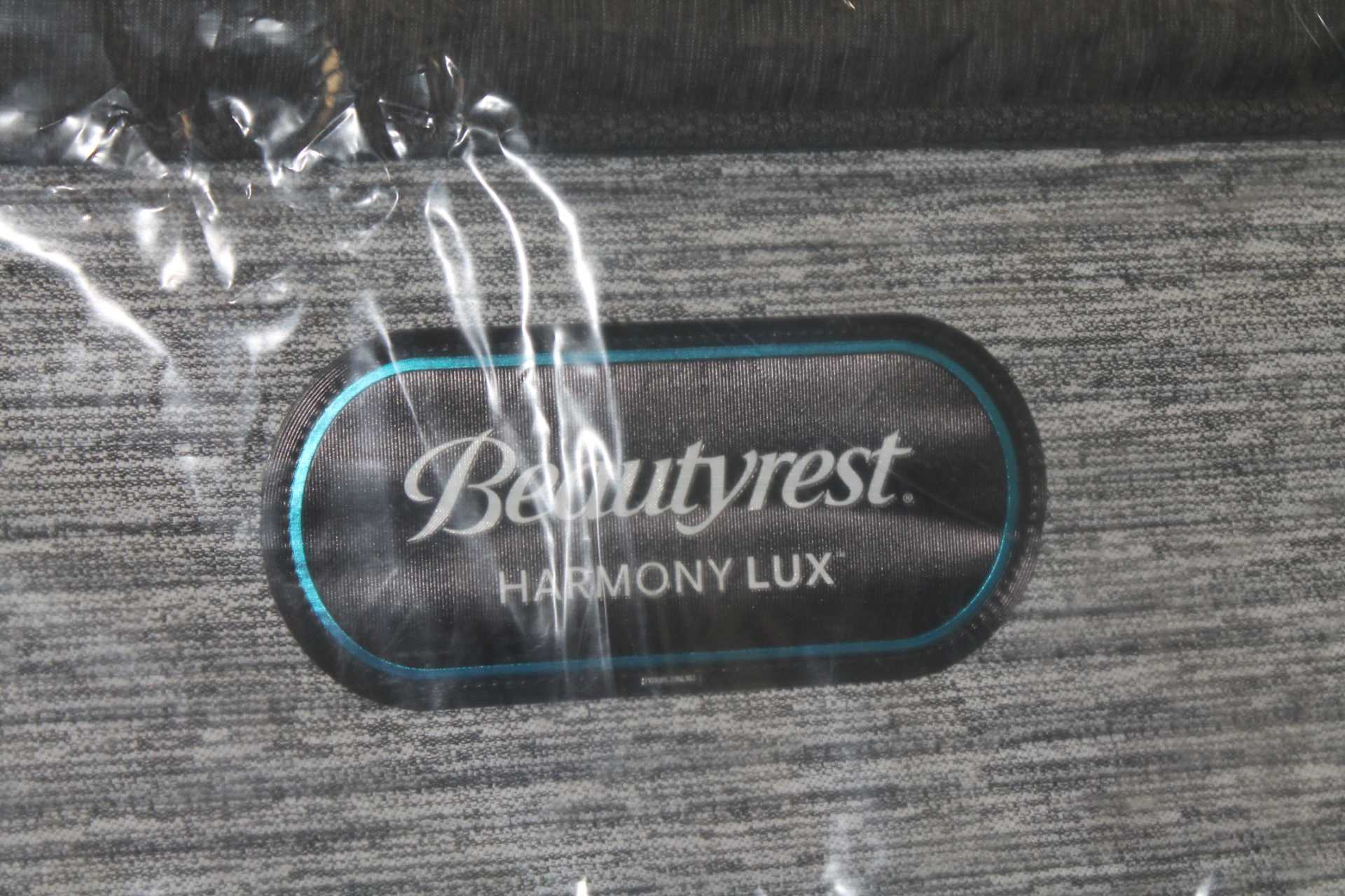 lux pt image 2