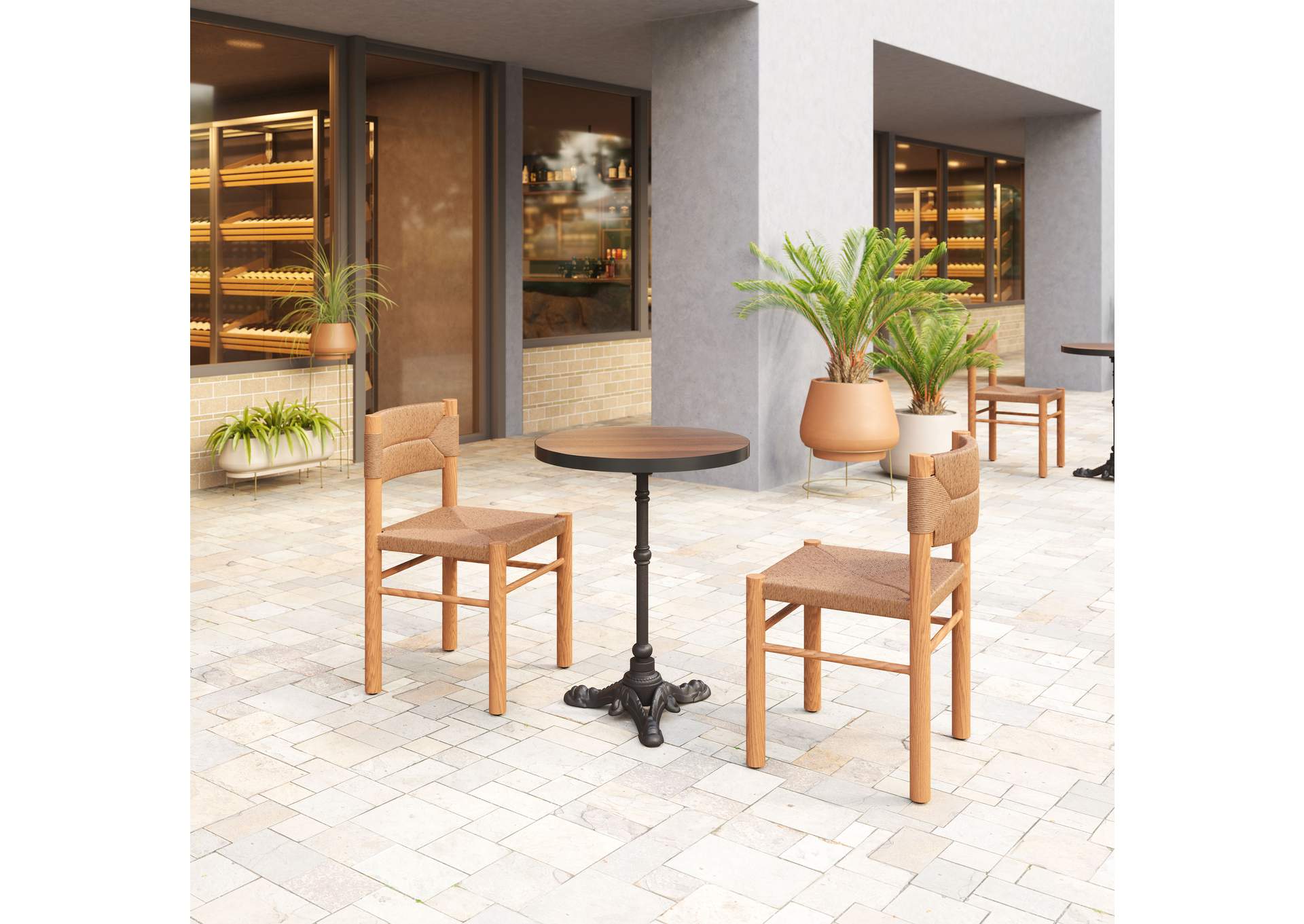 Iska Outdoor Dining Chair (Set Of 2) Natural image 1