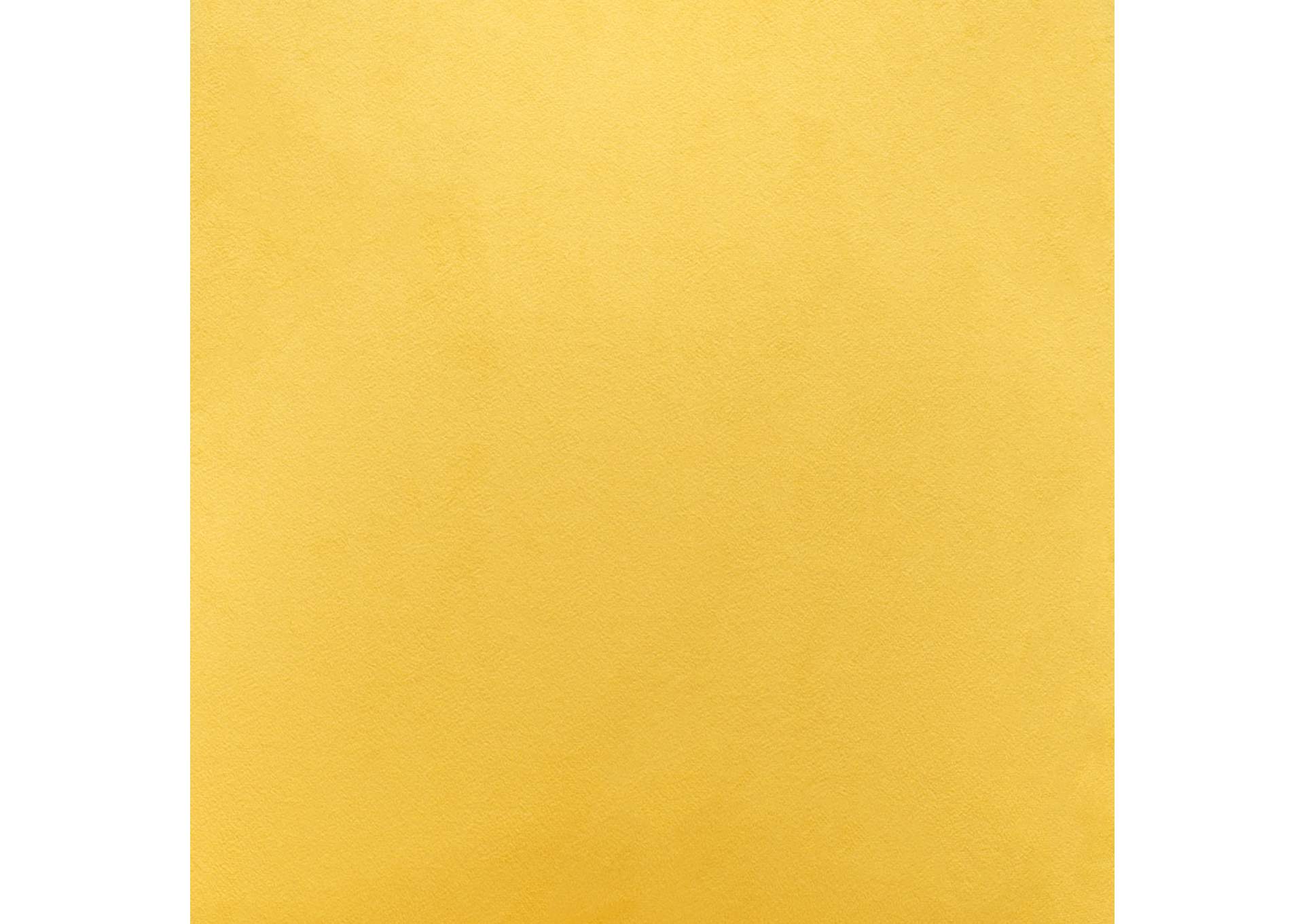 Piccolo Dining Chair (Set Of 2) Yellow image 9