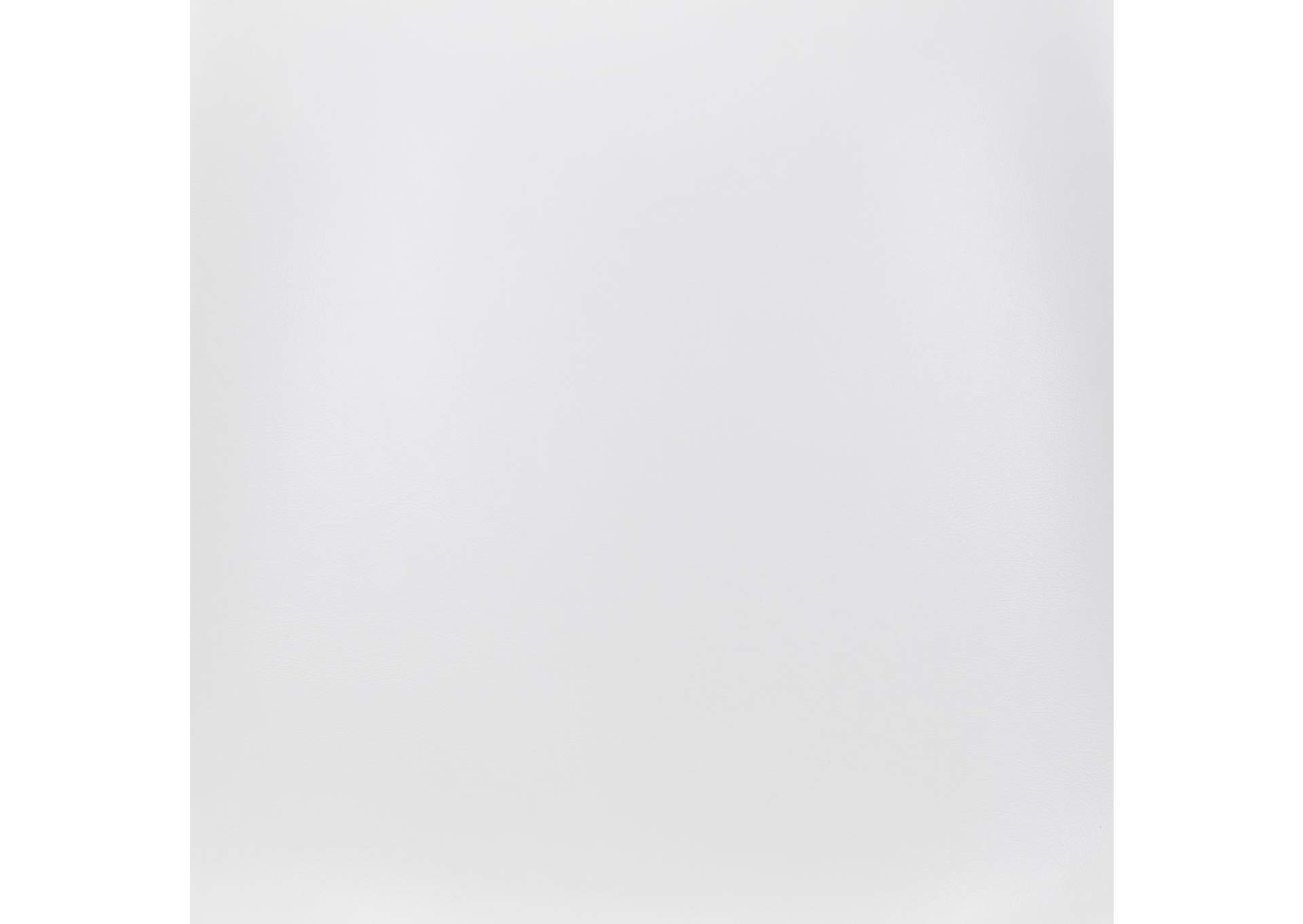 Ace Dining Chair (Set Of 2) White & Silver image 10