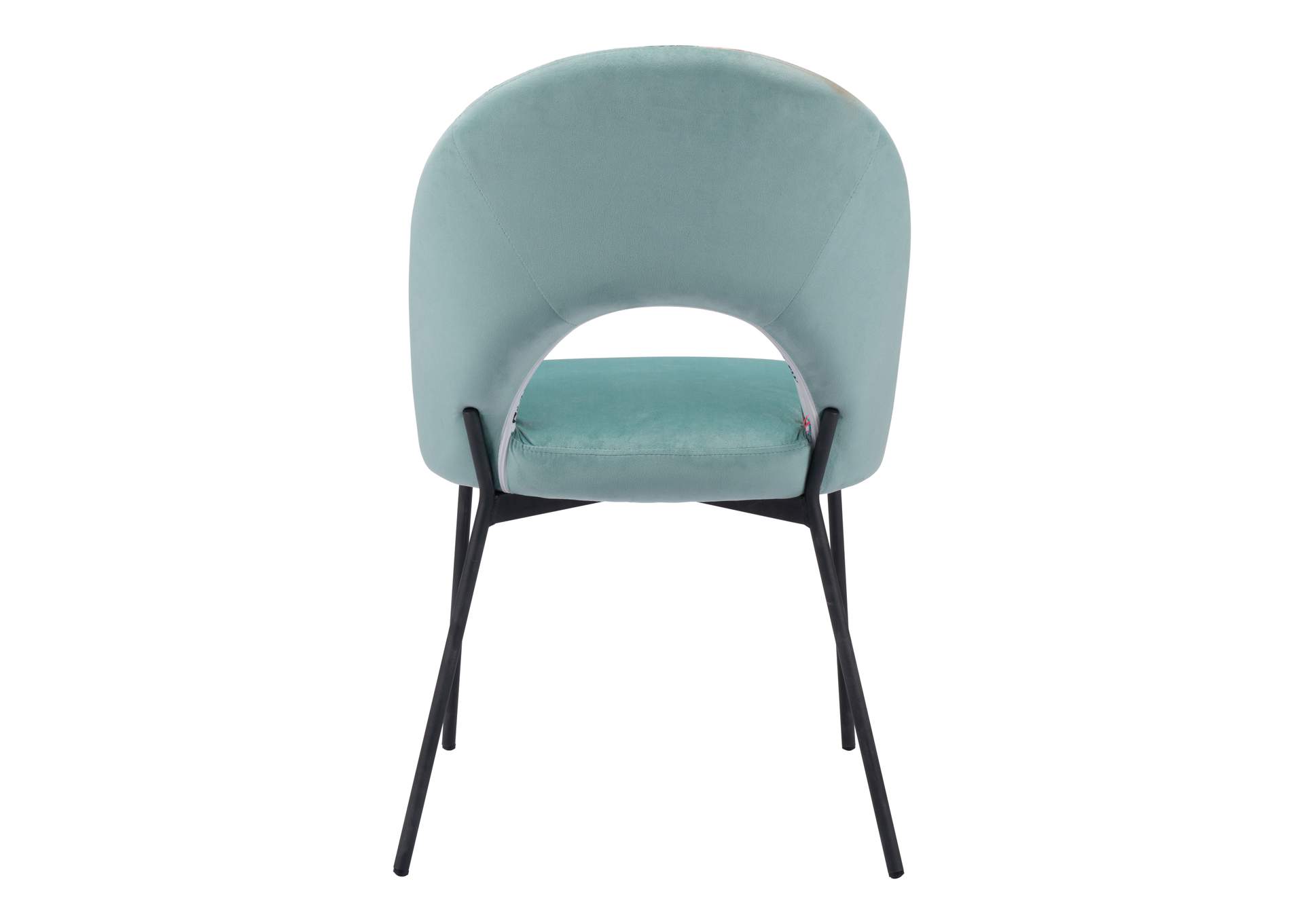 Bethpage Dining Chair (Set Of 2) Multicolor Print & Green image 8